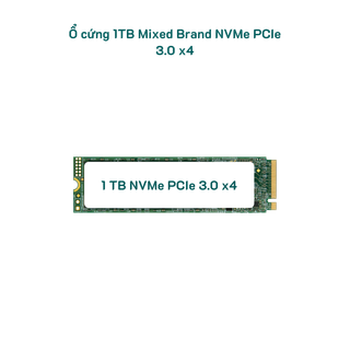 1tb-mixed-brand-nvme--sk-100-1.png