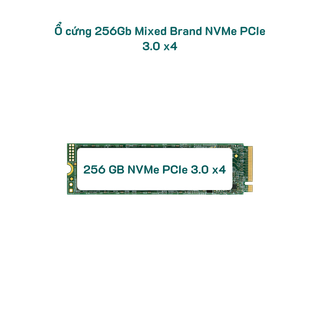 256gb-mixed-brand-nvme--sk-100-1.png