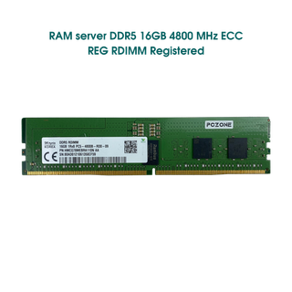 RAM 16GB Registered ECC RDIMM DDR5 4800 Mixed