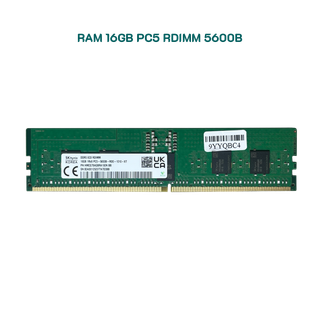 RAM 16GB Registered ECC RDIMM DDR5 5600 Mixed